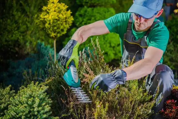 landscaping services Lambert